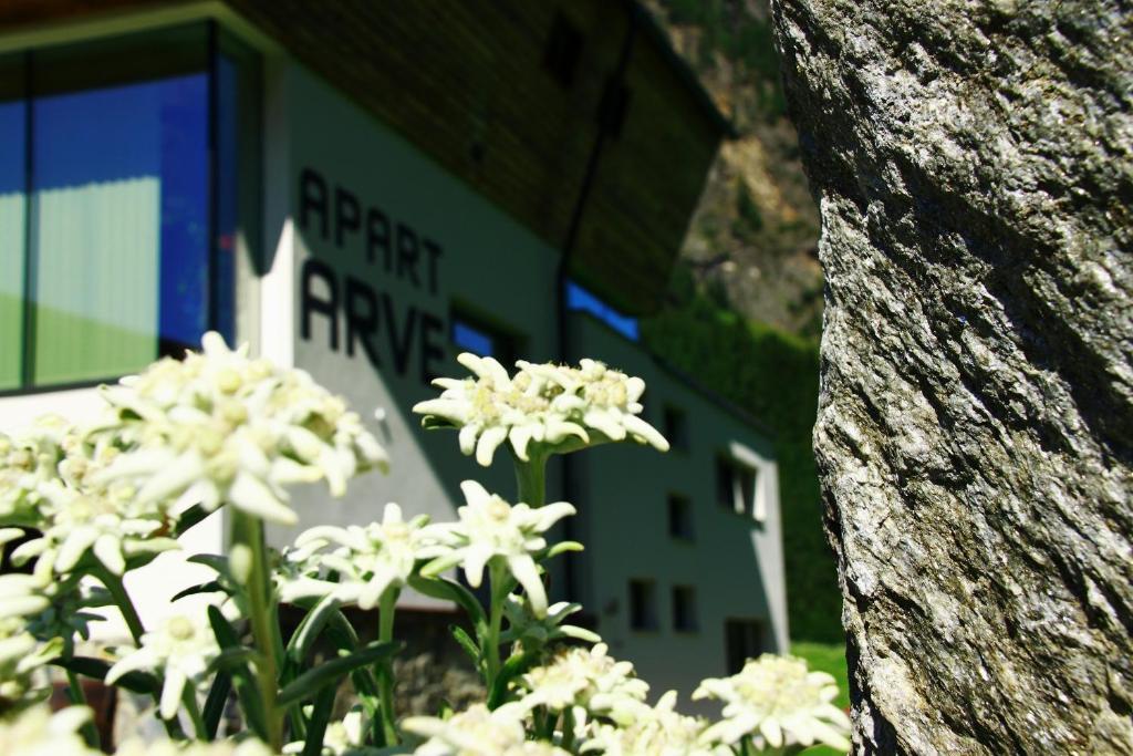 Apart Arve Sankt Leonhard im Pitztal Exterior foto